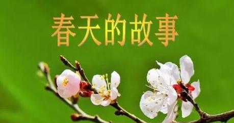 恋爱的花儿（恋爱的花儿）