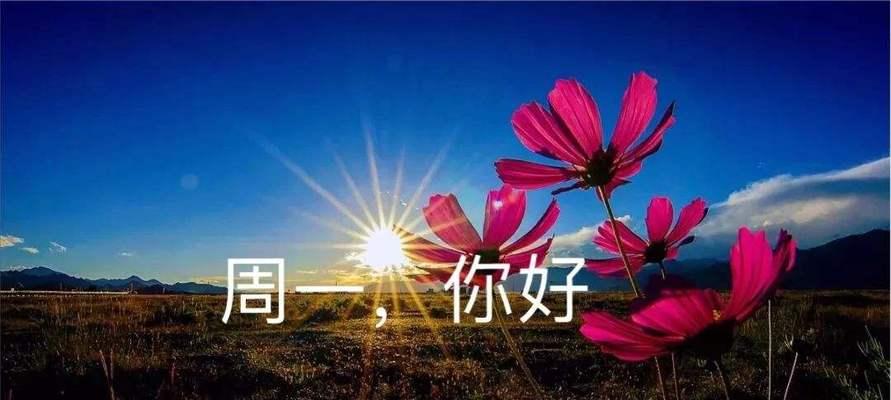 致敬过去，展望未来——2024公司年会（相聚一堂）