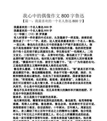 寻找偶像的旅程（追逐梦想的勇气）