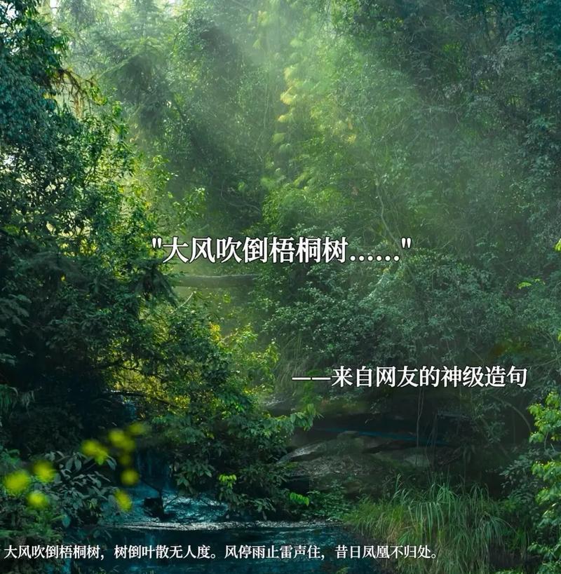 心灵漫步（以夜已深）