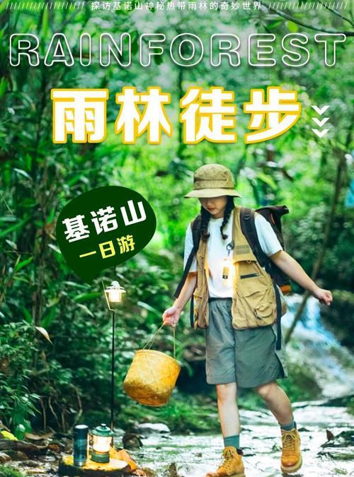 《基诺山幽谷雨林行记：墨绿迷途，古意盎然》