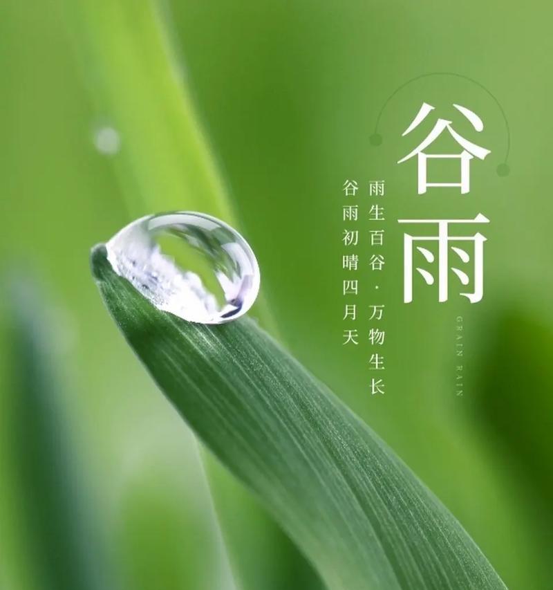 谷雨田间，翠意盎然