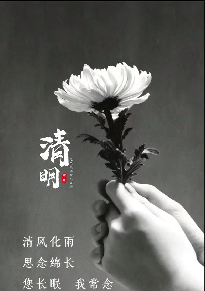 《清明坠机祭：空谷绝响，哀思如织》