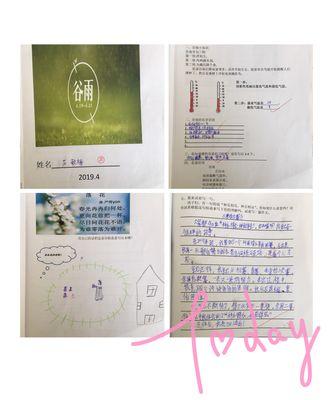 谷雨的心得体会怎么写（《谷雨：润物无声，学海无涯》）