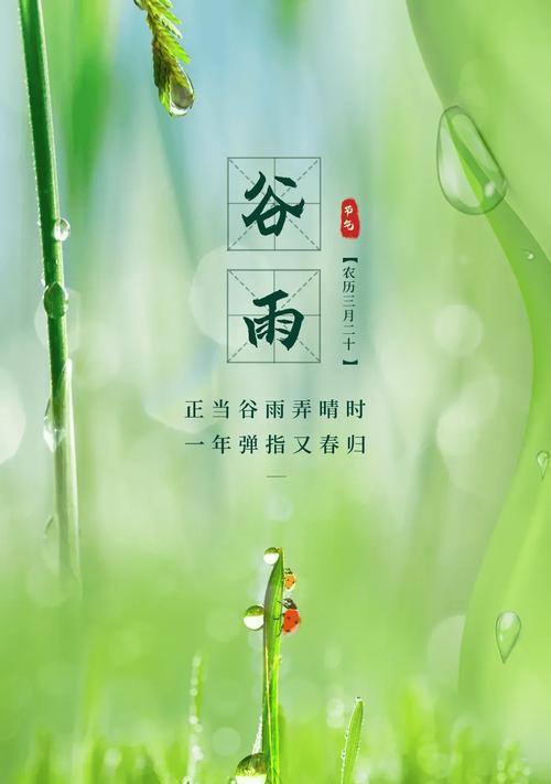 昆明的 谷雨怎么样（《昆明雨语：谷雨时节的诗意栖居》）