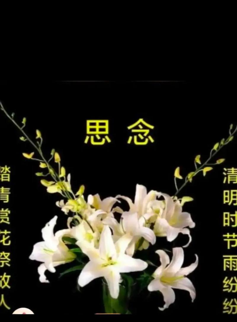 清明节的纪念短句有哪些？（《清明时节雨纷纷，游子吟咏思故人》）