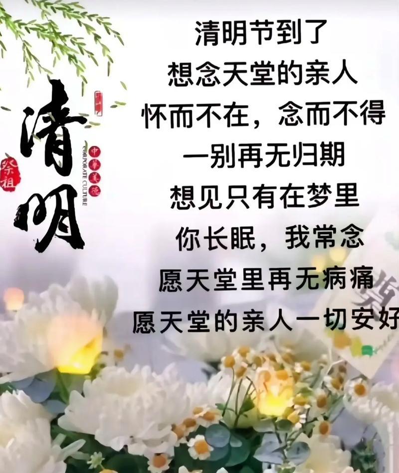 探望父母的意思（《春归故里，清明思亲》）