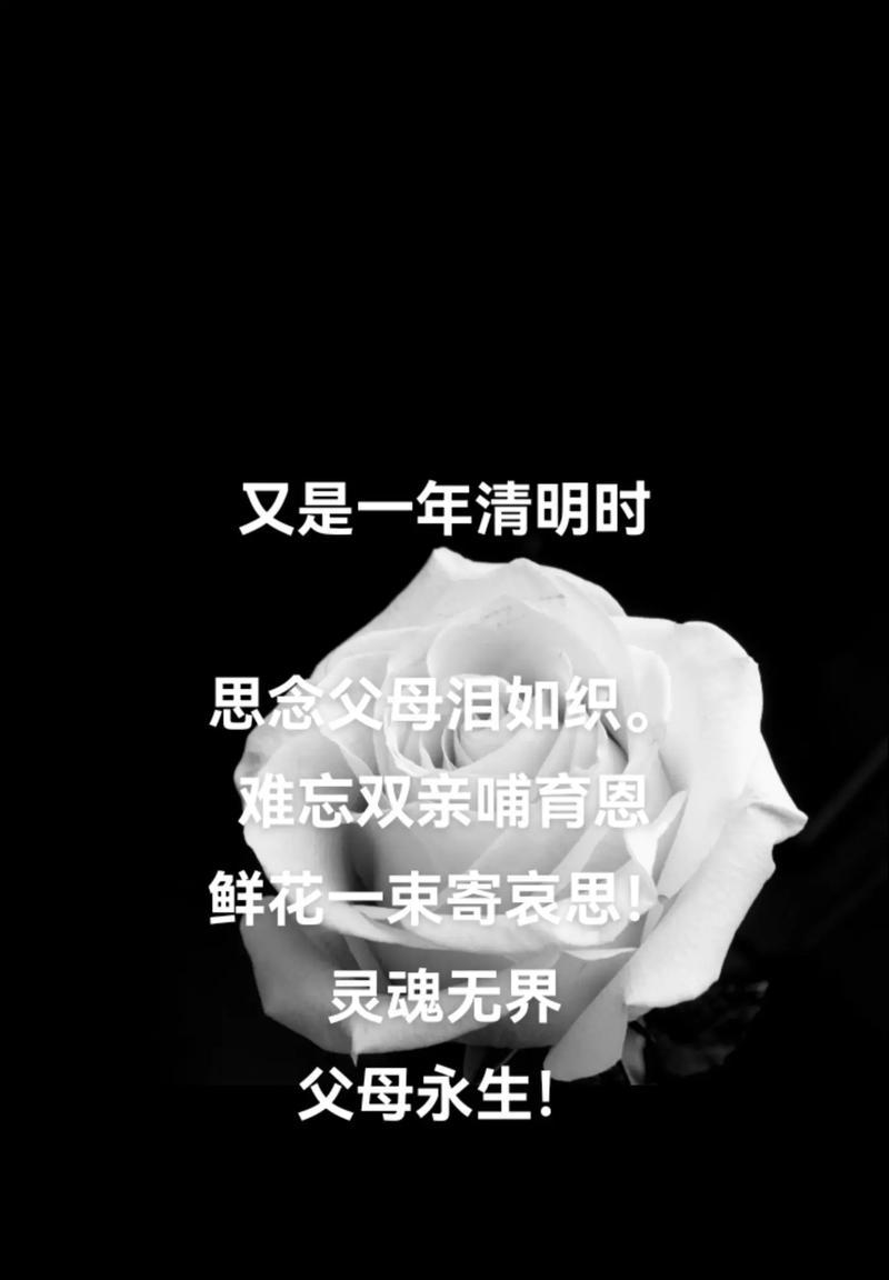 清明节如何用句子表达对逝者的哀思？（《凭吊芳春：清明时节哀思寄》）