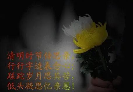 清明节感恩父母怎么表达（《清明思亲赋》）