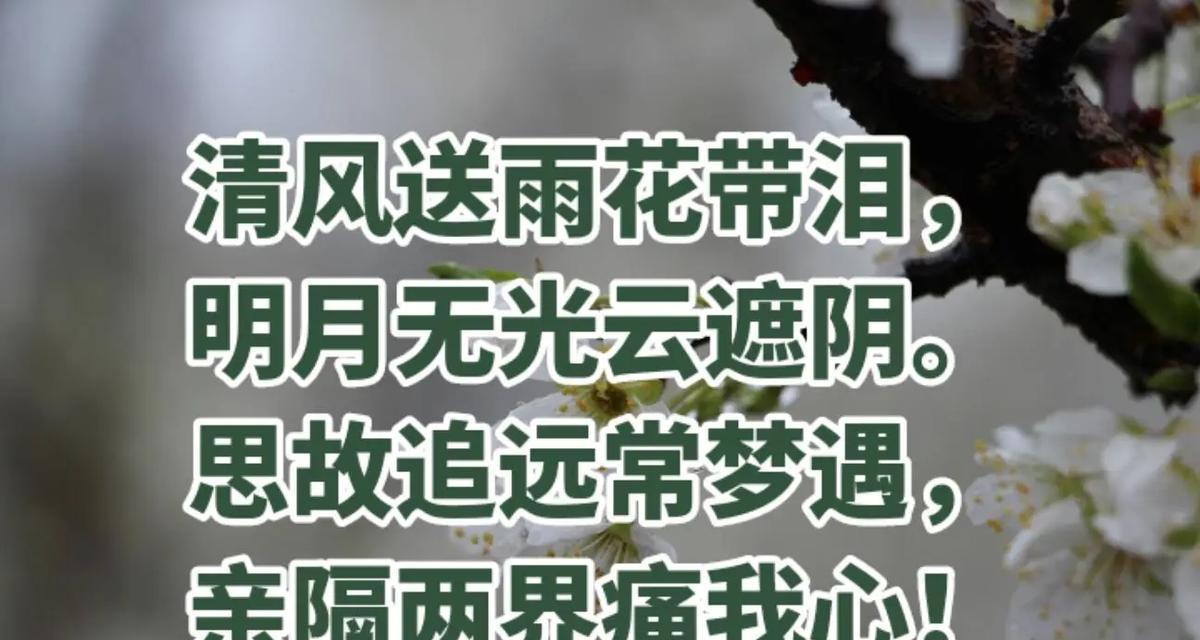 清明节回家梅州应该说哪些好句子？（《梅江畔，清明思乡情》）