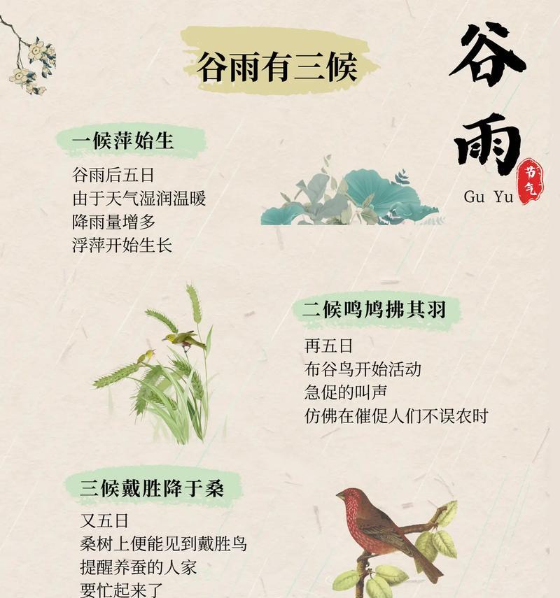 谷雨与春天的道别语录好句有哪些？（《春归何处：谷雨篇》）