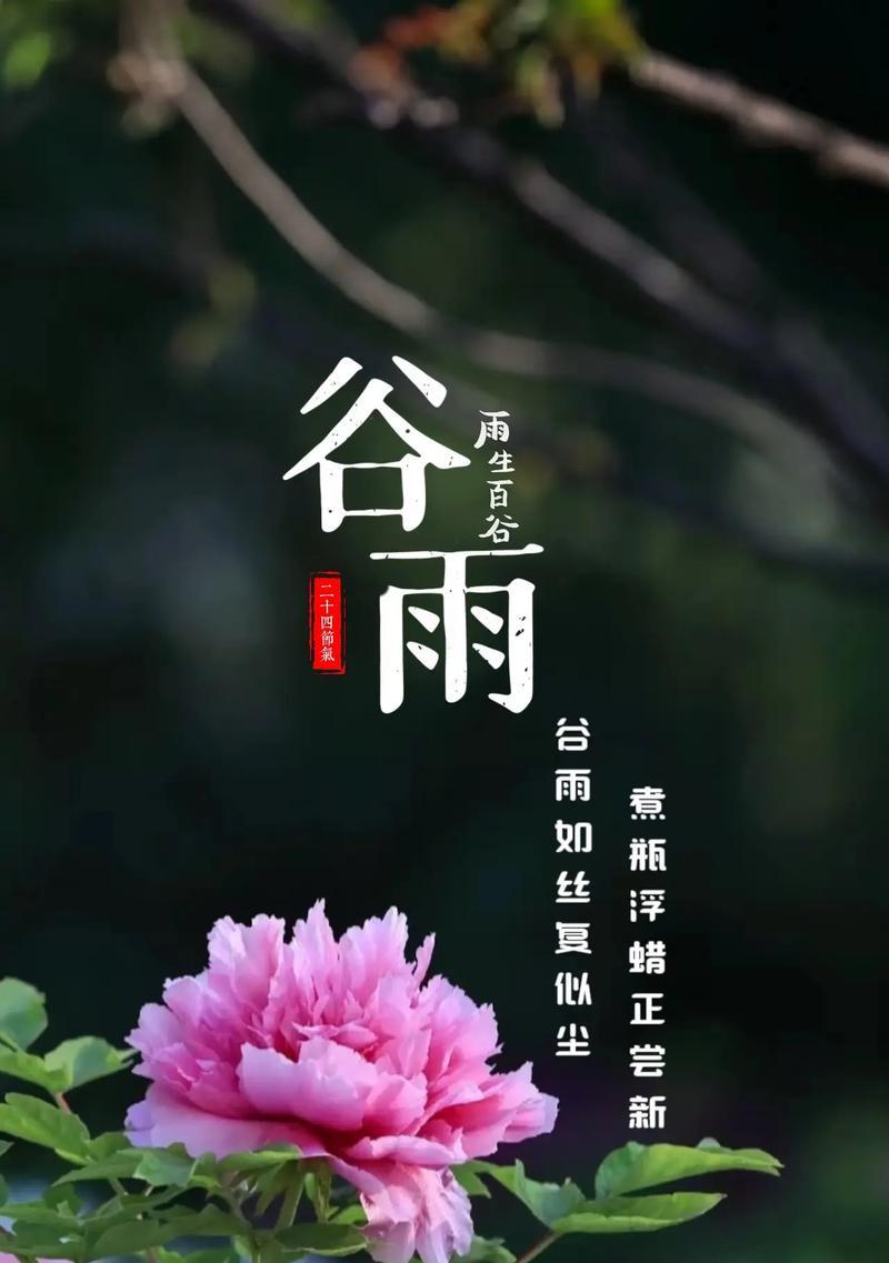 关于谷雨的句子好句有哪些？（谷雨润物细无声——春归大地的诗篇）