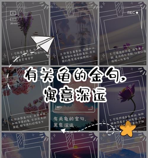 谷雨典故及传说简介（《龟游谷雨庙，墨香古韵长》）