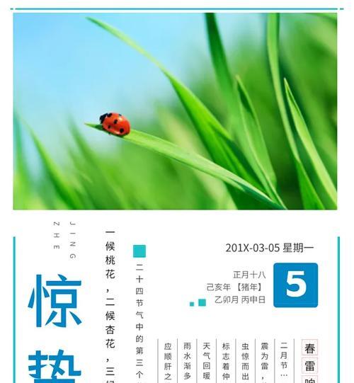春分惊蛰是什么意思（《春回大地，万物生辉》）