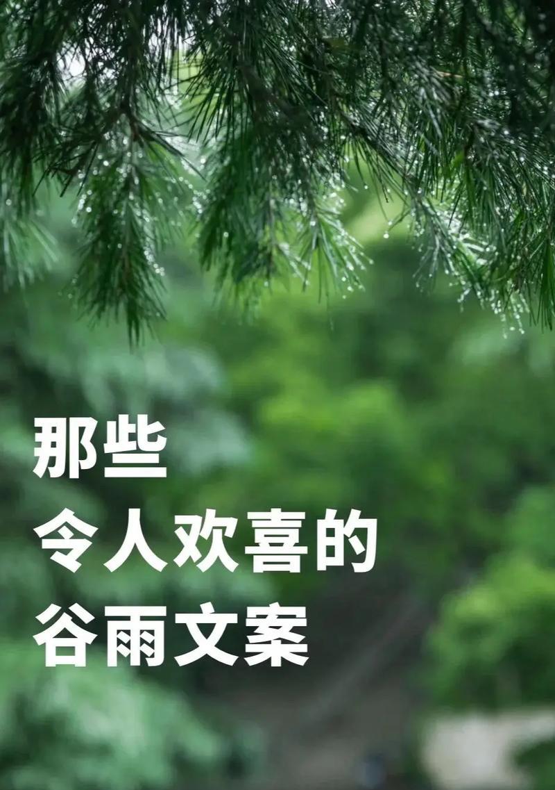 谷雨运营工案金句好句有哪些？（《谷雨润物细无声：运营工案之金句赏鉴》）