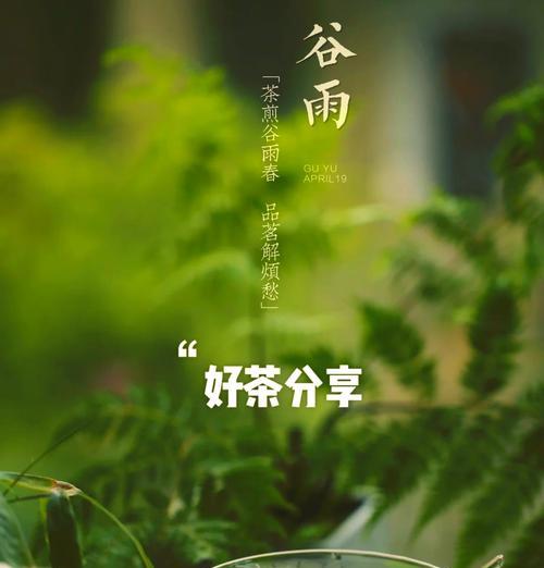 谷雨时节采茶有哪些讲究？（《谷雨润茶，翠影摇风》）