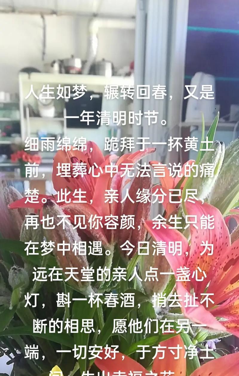 清明节扫墓的说说怎么发朋友圈（《春回墓前思亲浓，翠柏映照古风情》）