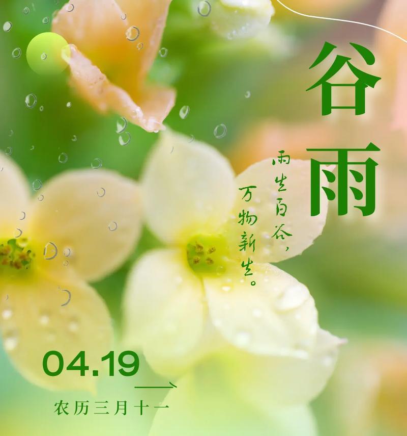节气谷雨有什么特点（谷雨润心田：我眼中的节气意境）