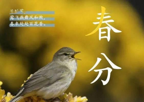 春飞啥意思（《春分时序）