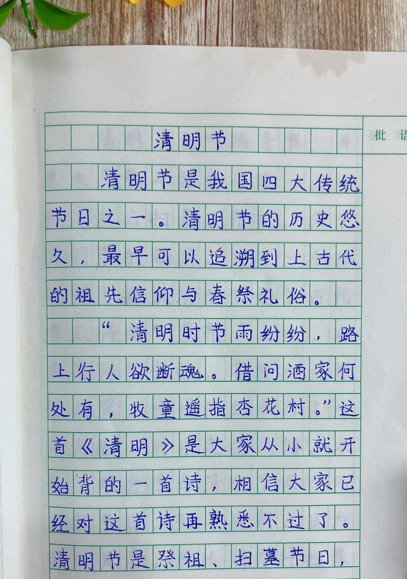 清明节深圳游玩安排作文作文怎么写？（《清明时节雨纷纷，深圳踏青游记》）