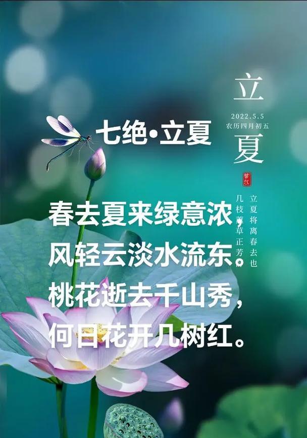 立夏结婚祝福语怎么写？（立夏之约，缘结良辰）