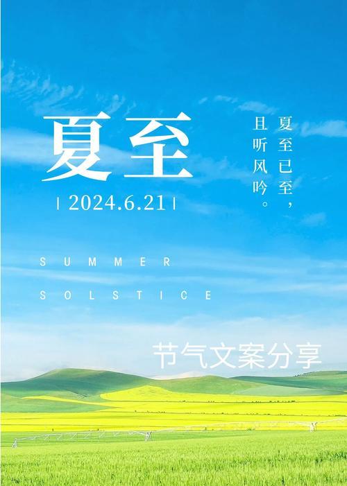 有关你好夏至转发的句子的句子怎么写（《夏至微凉，诗意悠长》）