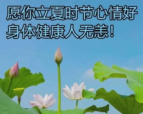 立夏祝福语多管齐下好句？（《立夏之际，古风雅颂》）