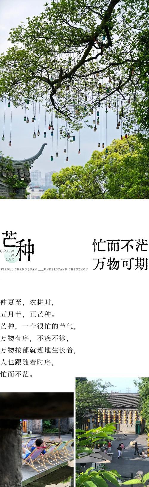 忙而不茫,忙而不盲的意思（《芒种时节的汗水与成长》）